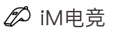 IM(股份有限公司)电竞-电子竞技平台